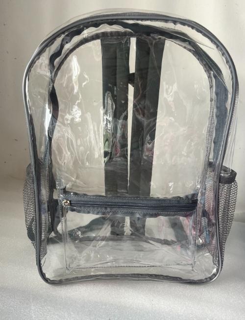 Clear Backpack — White