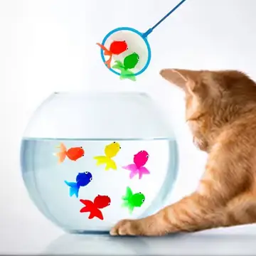 10Pcs Simulation Goldfish Toy Soft Rubber Colored Fake Goldfish Model Kindergarten Children Fishing Fish Baby Water Play Toy