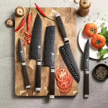 XINZUO Professional 1-5PC Multi-Purpose Kitchen Knife 67 Layers Damascus Steel Ergonomic Ebony Wood Handle Cooking Utensils