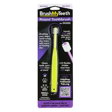 Brushmyteeth Round Toothbrush For Small Dogs