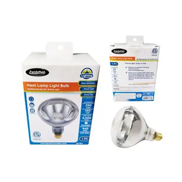 Heat Lamp 250W 120V E26 Clear R40