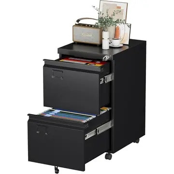 2 Drawer Mobile File Cabinet, Metal Under Desk Cabinet With Lock Name Card Holder For Office Home, Legal Letter Size, Assembly Required