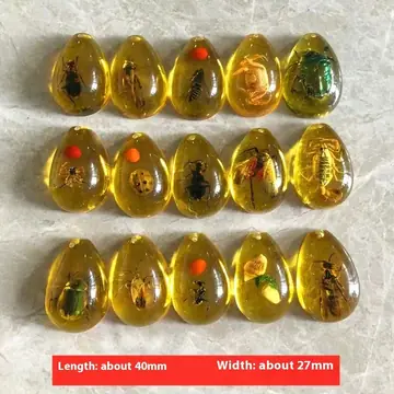 Blind Box Excavation Of Insect Amber Specimens For Children