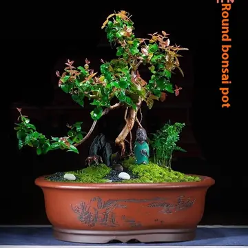 Purple Sand Flower Pot Oval Bonsai Basin Succulent Plant Platter Old Pile