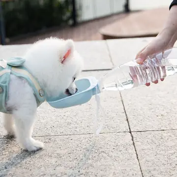 Teddy Portable Drinking Water Bottle