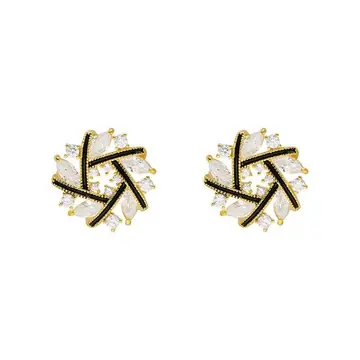 Temperament Net Red Earrings Female Earrings 925 Silver Needle
