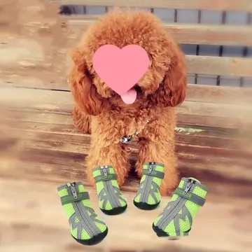 Waterproof, Non-slip, Wear-resistant Breathable Dog Shoes