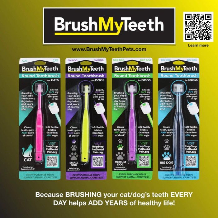 Brushmyteeth Round Toothbrush Assorted