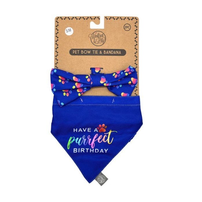 Pet Bow Tie And Small Bandana Set Rainbows Have A Purrfect Birthday