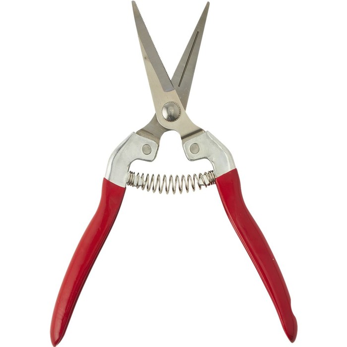 Floral Pruner Shears