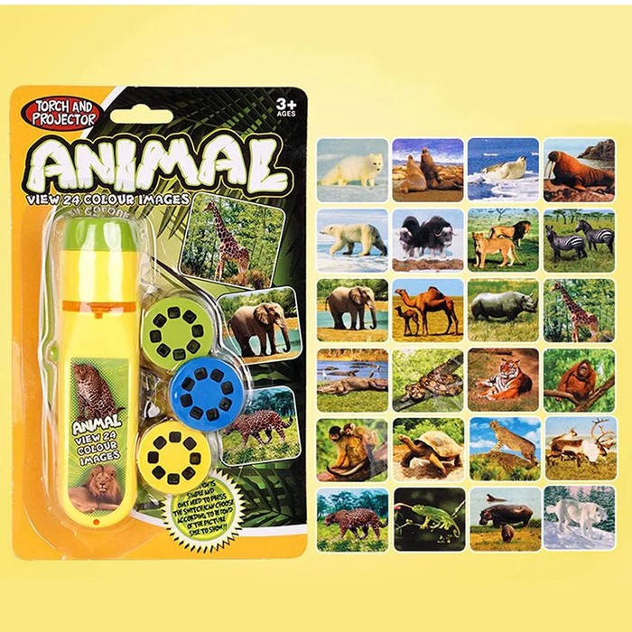 Animal Projector Educational Brain Game Kids Toy