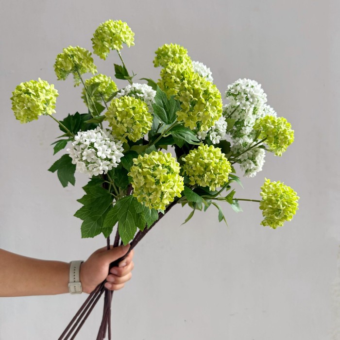 Flowers Hydrangeas SnowballsSmall Home Furnishings