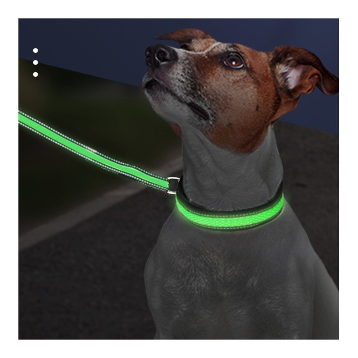 LED Luminous Nylon Mesh Pet Collar Type-c Charging Port Waterproof Dog