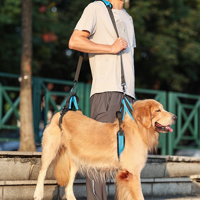 Pet Supplies Dog Auxiliary Strap