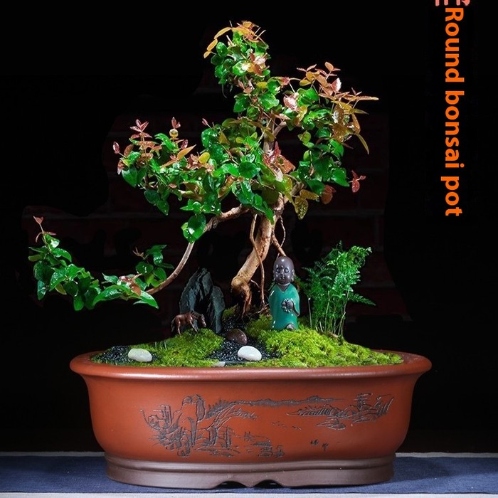 Purple Sand Flower Pot Oval Bonsai Basin Succulent Plant Platter Old Pile