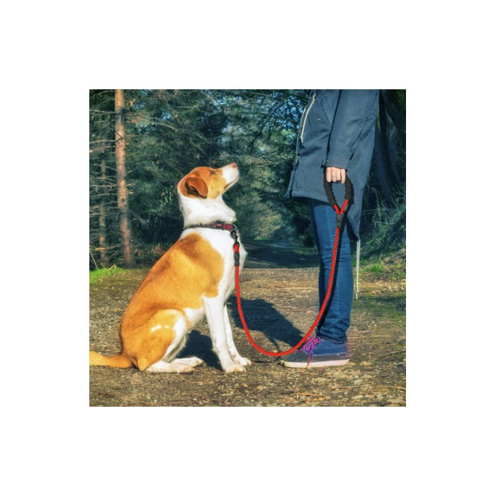 Reflective Dog Leash Nylon Pet Dog Leash Rope For Small Medium Large Dogs Walking Training Pet Suppiles