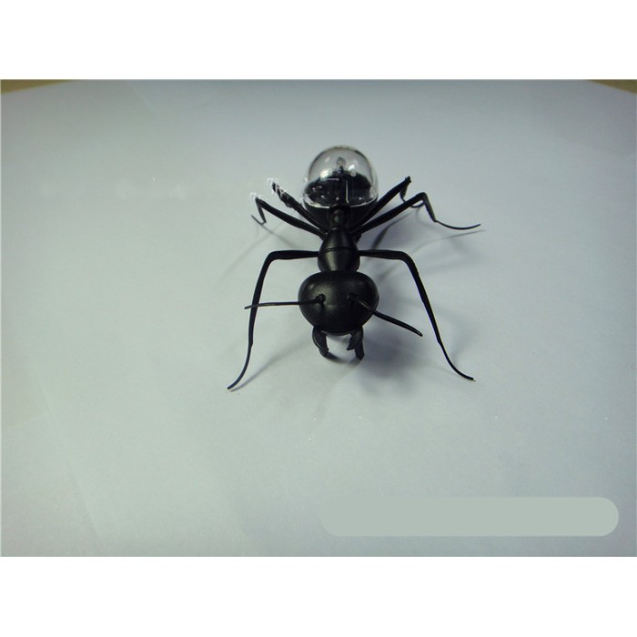 Solar Ant Baby Electronic Pet Toy