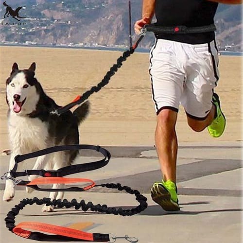 Elastic Hands-Free Running Dog Leash With Adjustable Waist Rope, Large